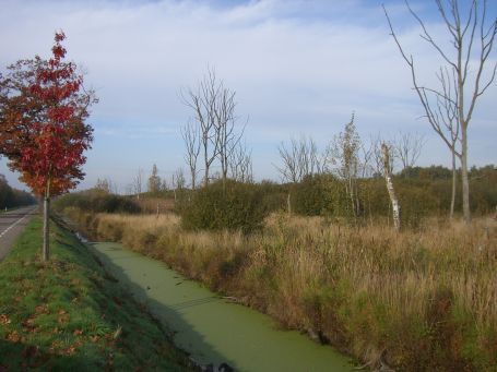 De Peel : Kanaalweg, Moorlandschaft, Herbstimpressionen